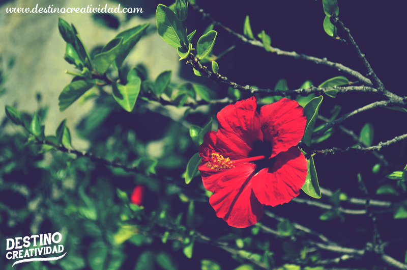 lugares para ser creativo