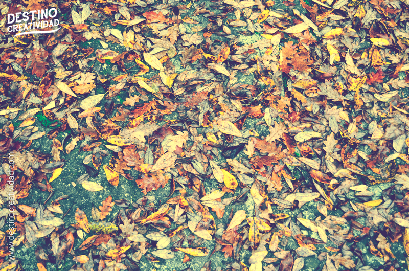 evitar las distracciones